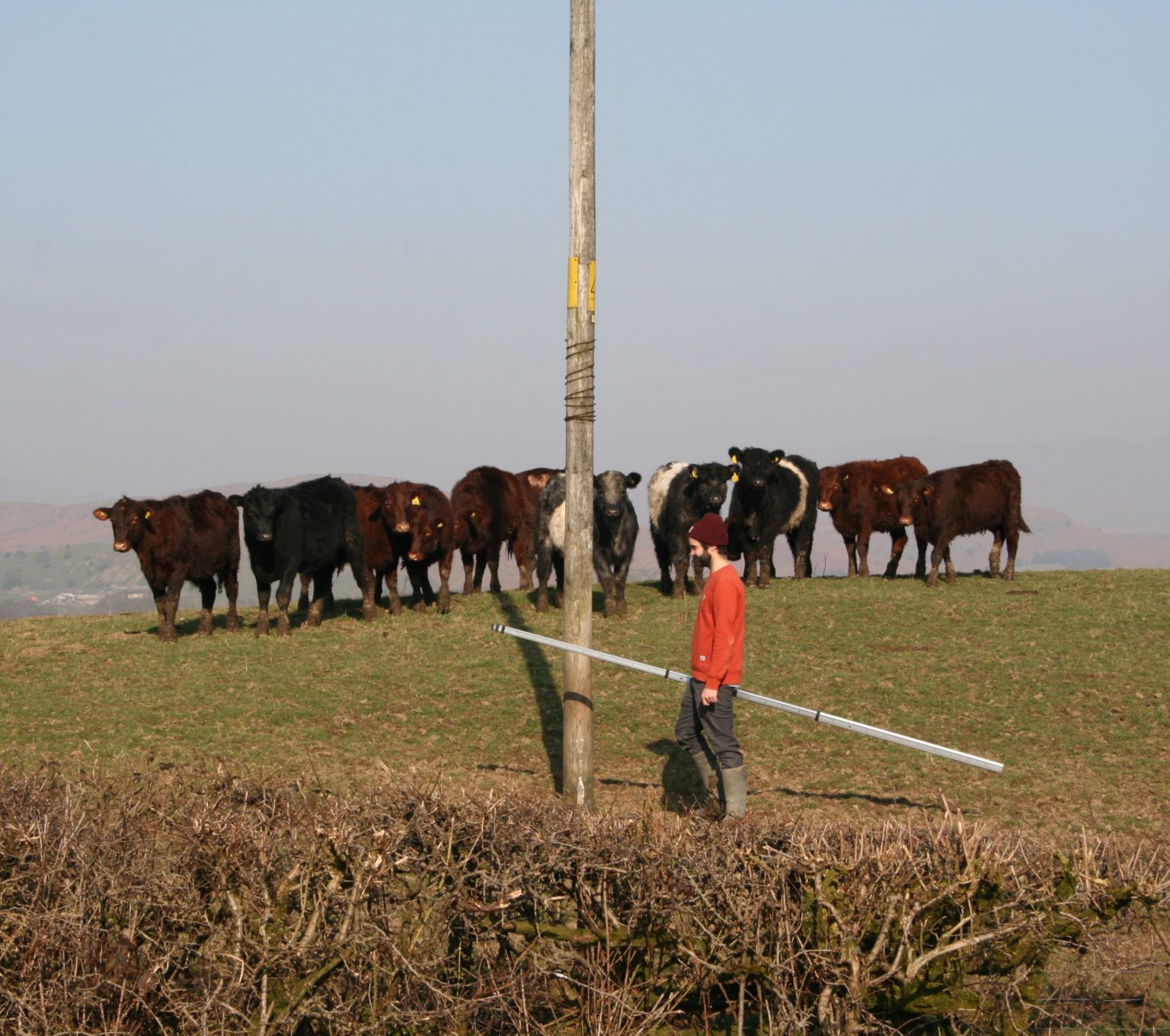 TapeDesign.co.uk Architecture, Ulverston, Cumbria